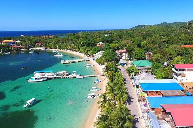 Shore Excursion: VIP Island City Tour and Drift Snorkel - Traveler Reviews