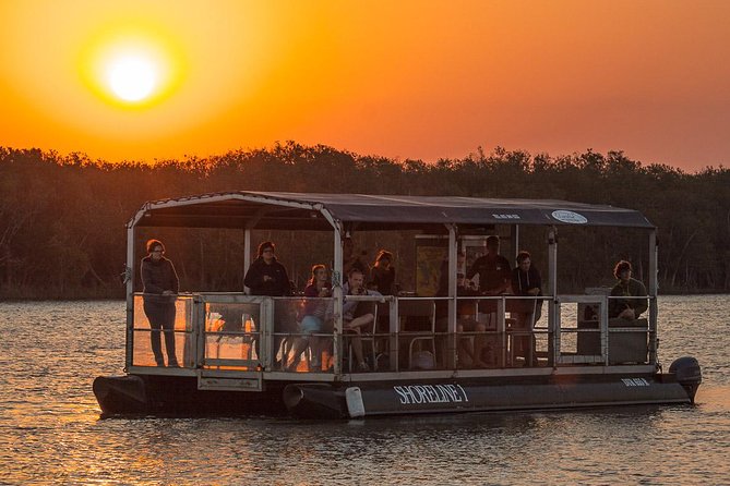 Shoreline Hippo and Crocodile Boat Cruises, Isimangaliso Wetland Park - Overview of the Experience