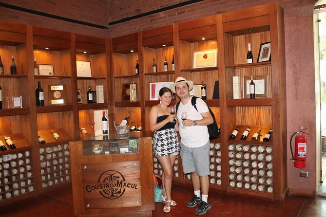Short Santiago Winery Tour - Tour Details