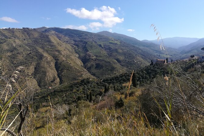 Sicily Private Cooking Class in a Country House (Feb ) - Experience Details