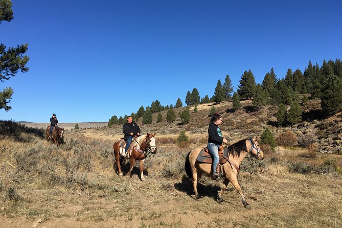 Sierra Histroric Tour & Horseback Riding From Reno - Activity Overview