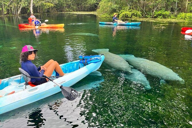Silver Springs Kayak Rental - 5 Mile Adventure With Shuttle - Activity Overview