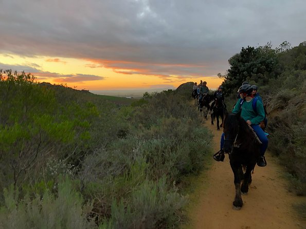 Simondium Evening and Moonlight Wine Horseback Ride  - Stellenbosch - Booking Process