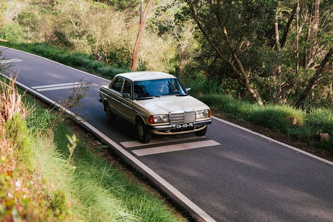 Sintra & Cascais Full Day - Private Tour in Classic Car - Tour Details