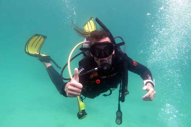 Siquijor Scuba Diving for Beginners - Diving Equipment and Divemaster Service