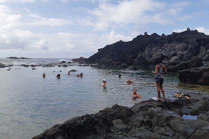 Siteseeing With Cass-Land Adventures in St. Vincent - Dark View Falls Tour Details