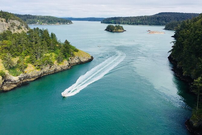 Skagit Valley Birding Deception Pass Day Tour From Seattle - Tour Highlights