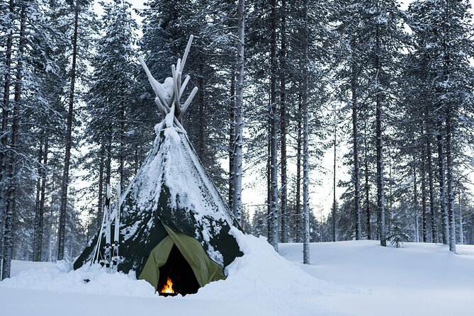 Ski Trek to the Wilderness - Reviews