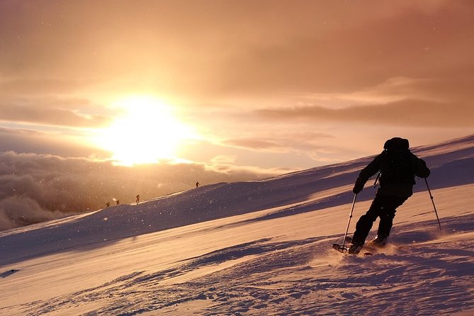 Skiing in Mo I Rana - Overview and Logistics