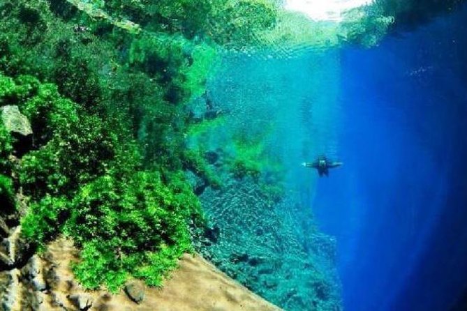 Skip the Line: Lagoa Misteriosa Admission Ticket With Scuba Diving Experience - Health and Safety Guidelines