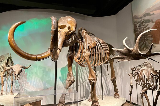 Skip-the-Line The Field Museum of Natural History Exclusive Guided Tour - Pricing and Booking Details