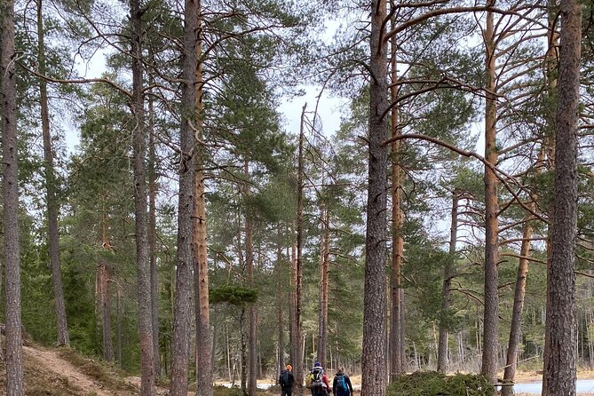 Skogshytte' Is a Norwegian Term That Translates to 'Winter Cabin' in English. It Refers to a Destination Hike Where Hikers Can Reach and Stay in a Cozy Cabin Situated in the Middle of a Forest During the Winter Season - Norwegian Term for Winter Cabin