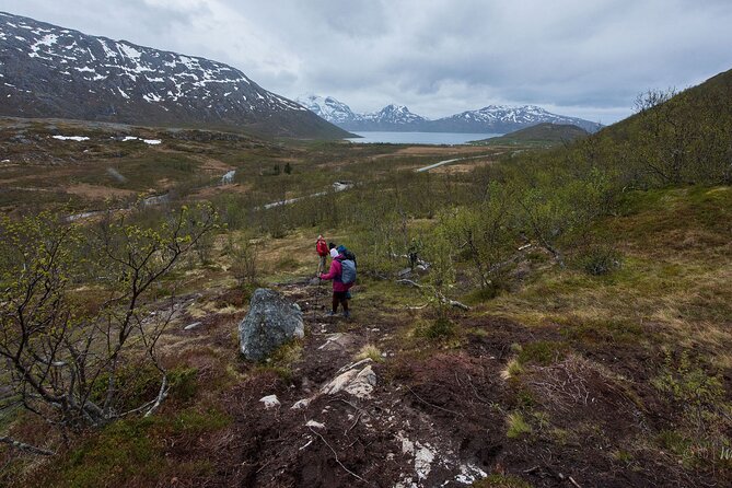 Small Group Citizen Science Hike in Tromso - Activity Inclusions and Exclusions
