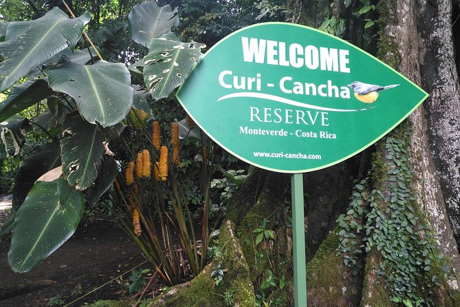 Small-Group Guided Tour of Curi Cancha Wildlife Reserve  - Monteverde - Tour Experience Highlights