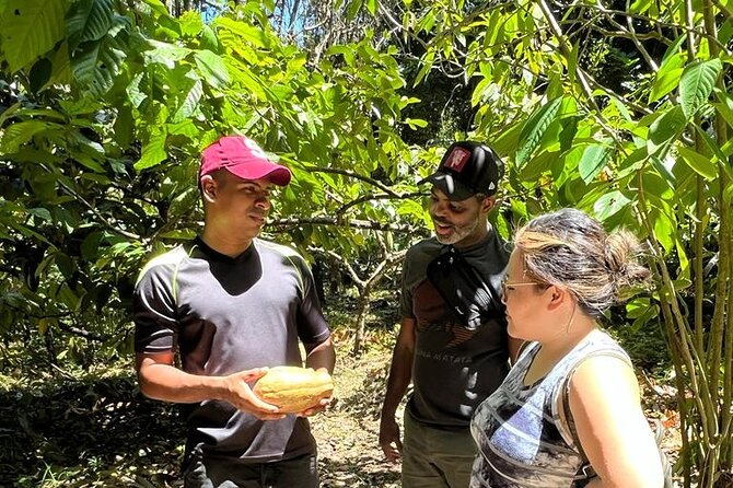 Small-Group Half-Day Indigenous Reserve Cacao & Waterfall Tour  - Limon - Tour Highlights