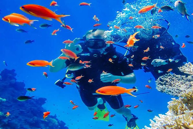 Small-Group Havelock Island Discover Scuba Diving Experience (Feb ) - Experience Highlights