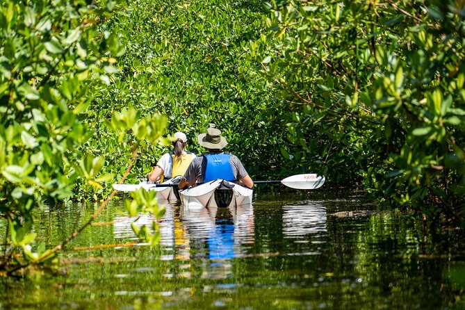Small Group Kayak Adventure in the Cayman Islands - Activity Overview