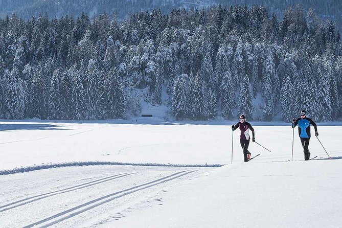 Small-Group Lapland Cross Country Ski - Activity Overview and Inclusions