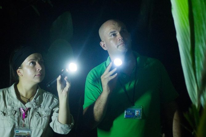 Small-Group Tortuguero National Park Night Walk in Costa Rica - Tour Details