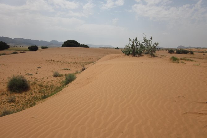 Small Sahara Desert From Agadir With Lunch 4x4 - Tour Highlights