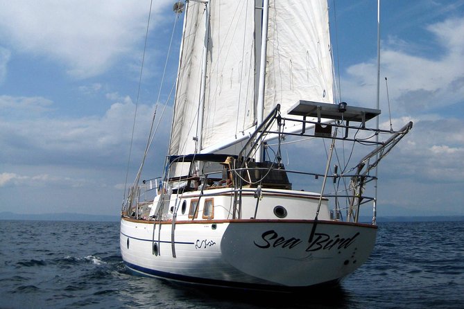 Snorkeling and Cruises - Benefits of Snorkeling and Cruises