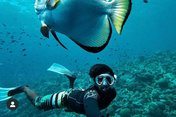 Snorkeling at Blue Lagoon and Hidden Waterfall - Affordable Options for Individuals and Groups