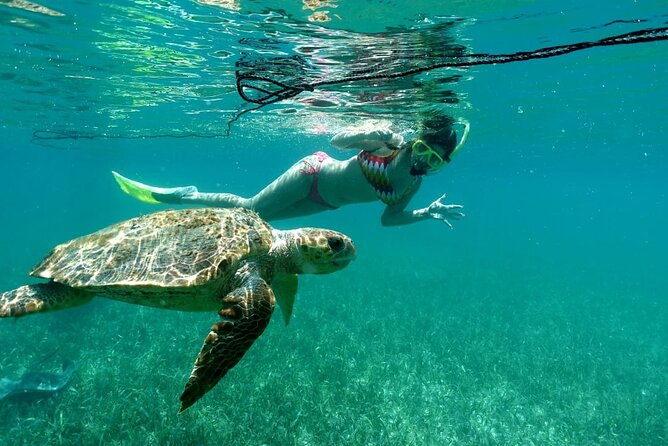 Snorkeling at Silk and Moho Caye - Experience Details