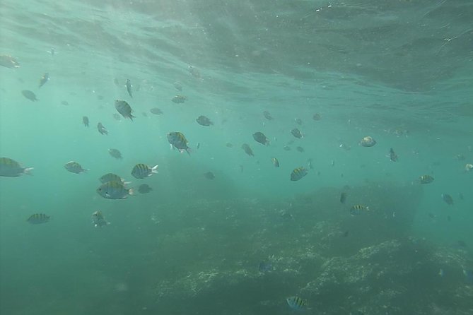 Snorkeling Costa Rica - Snorkeling Locations in Costa Rica