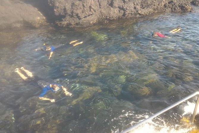 Snorkeling Experience in Terceira, Azores - Snorkeling Highlights