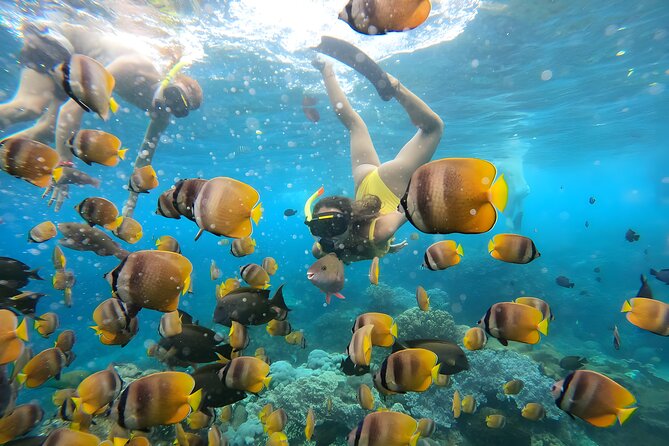 Snorkeling In Nusa Penida Departing From Bali Island,Snorkeling in Blue Paradise - Pricing and Booking Details