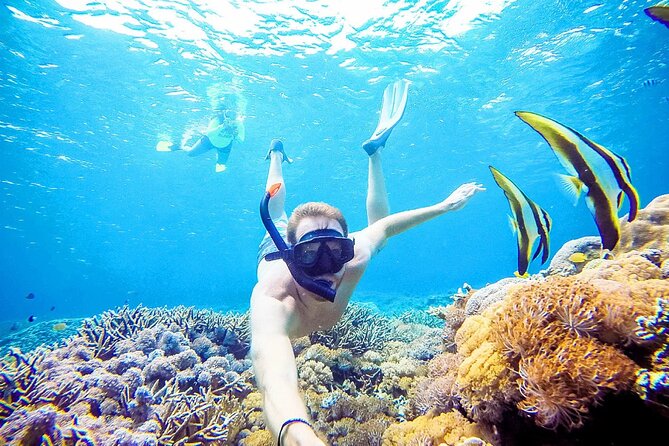 Snorkeling Nusa Penida and Island Tour Package - Island Tour Itinerary