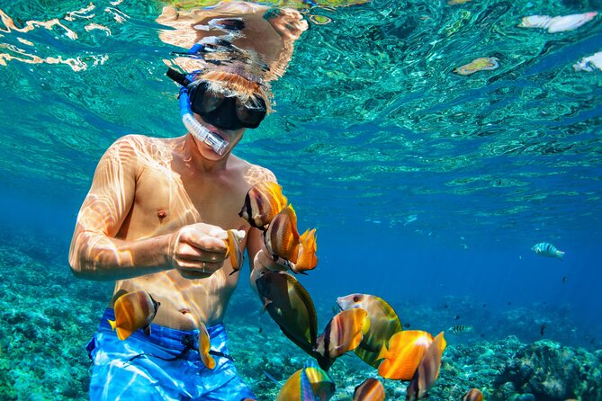 Snorkeling Private Tour in San Juan - Tour Highlights