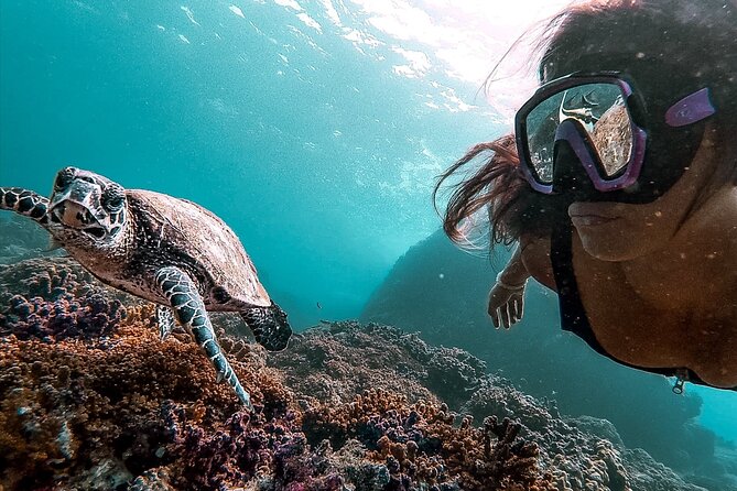 Snorkeling Tour in Caño Island With Lunch - Tour Logistics