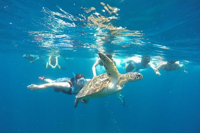 Snorkeling Tour In Gili Trawangan, Gili Meno And Gili Air Pick Up From Bali - Tour Highlights