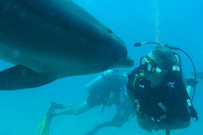 Snorkeling Trip At Satayh Dolphin Reef - Planning Your Snorkeling Adventure