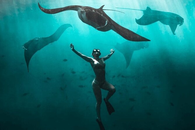 Snorkeling With Manta Rays in Nusa Penida Experience (All-Inclusive) - Snorkeling With Manta Rays: a Mesmerizing Encounter