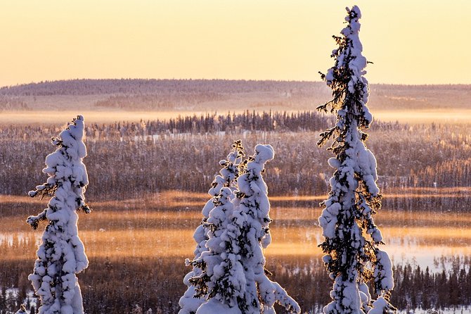 Snowmobile Driving - Morning Start - Snowmobile Driving Tour Details