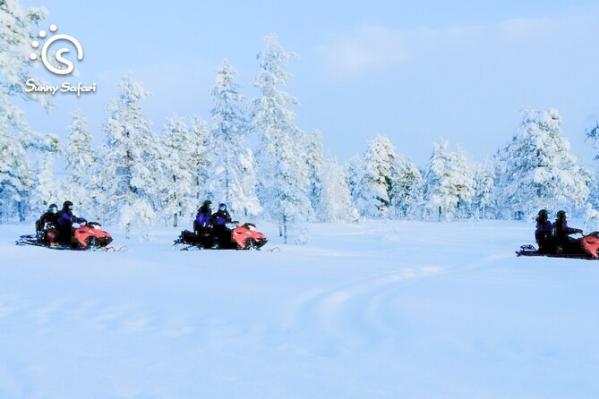 Snowmobile Safari Into Arctic Wilderness - Pricing and Guarantee
