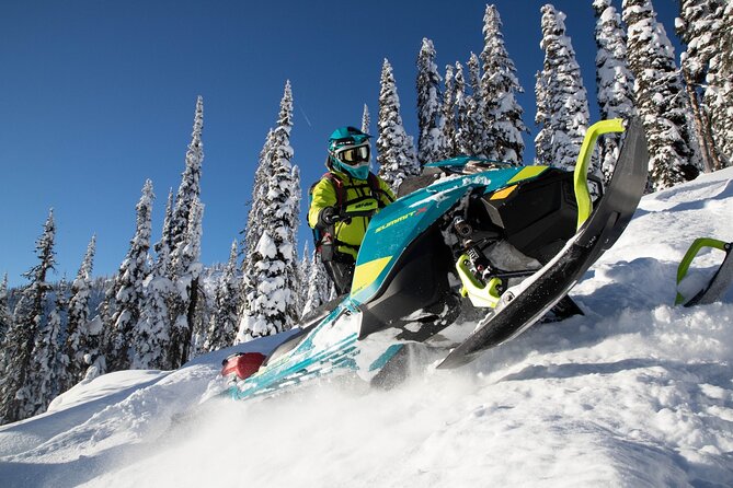 Snowmobile Safari Through Lappish Forest From Rovaniemi - Tour Details