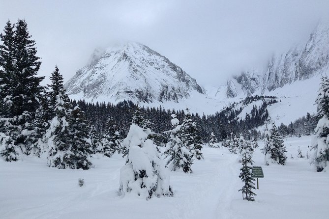 Snowshoe in Kananaskis Country - Overview and Experience