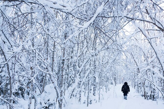 Snowshoe Trekking, Ice Fishing, and Grilling in Arctic Nature From Rovaniemi - Snowshoe Trekking: Discover the Arctic Landscape