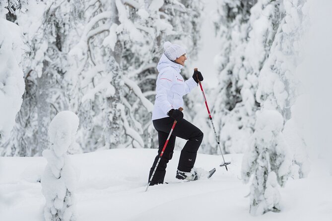 Snowshoe Trekking With Campfire BBQ From Rovaniemi - Snowshoe Trekking Experience