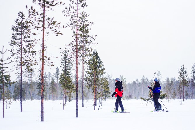 Snowshoe Trip for Ice Fishing From Kemi - Overview of Snowshoe Trip