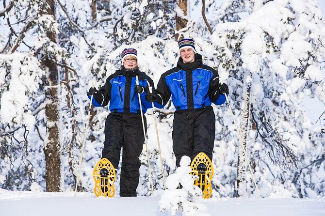 Snowshoe Trip Searching for Arctic Animals From Kemi - Overview of the Snowshoe Trip