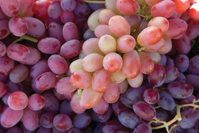 Sonoma and Napa Wine Tour Private Tours 8 to 10 Hours Max 14 Pax - Pricing and Booking Details