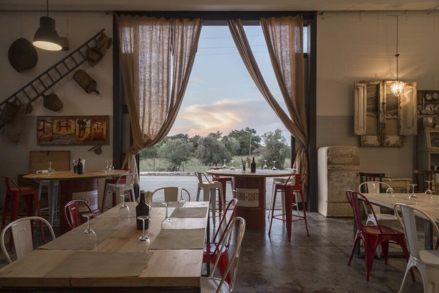 Sortino: Olive Oil Tasting With Sicilian Products and Wine