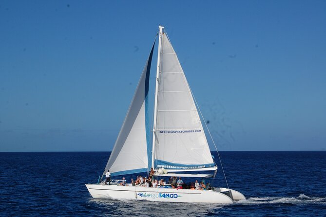 Soufriere Catamaran Excursion & Sapphire Falls Hike - Pickup Points and Shuttle Transfers