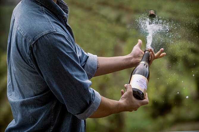 Sparkling Wines Tasting Quinta De Santa Cristina Vinho Verde - Vinho Verde: A Brief Introduction
