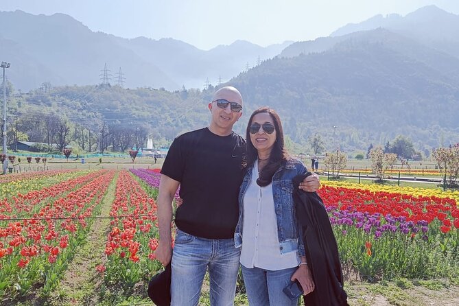 Srinagar Splendors: A Private City Tour - Tour Highlights