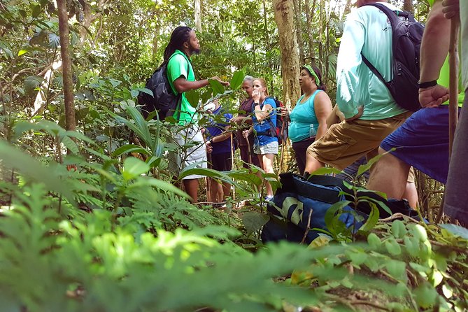 St Kitts Half-Day Rainforest Tour - Cancellation Policy